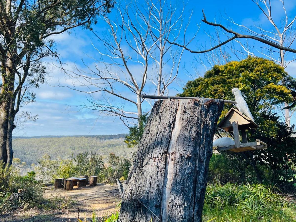Canyon Cottage Majestic View 黑荒地 外观 照片